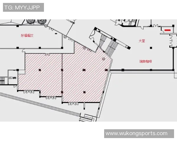 网球场地设计与规划：如何打造高效舒适的运动空间